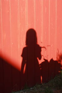 Shadow of person girl  on wall