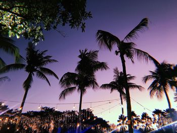 Low angle view of silhouette palm trees against sky at sunset