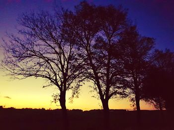 Silhouette of tree at sunset