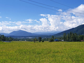 Scenic view of field against sky