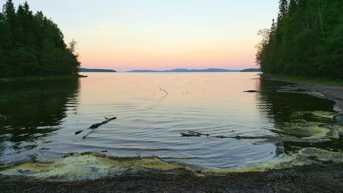 Swans in lake against sky at sunset