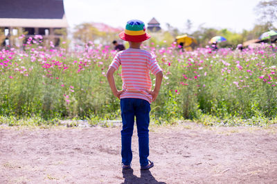 Young asian boy travel to flower field stand close to nature and enjoy beautifully blooming flowers.