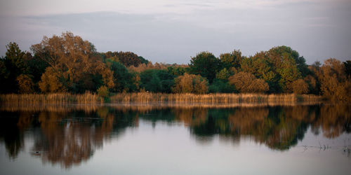 Scenic view of lake by trees against sky