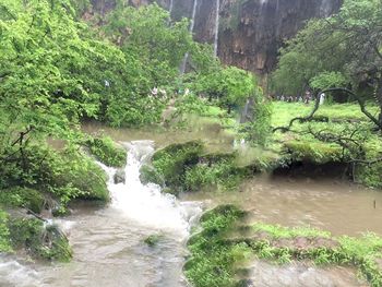 Scenic view of waterfall in forest