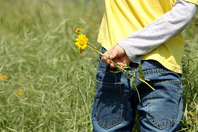 Close-up of boy holding yellow flowers