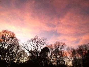 Low angle view of silhouette trees against sky at sunset