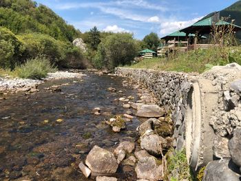 Scenic view of river by trees against sky