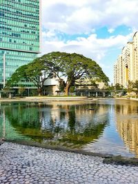 Reflection of buildings in city