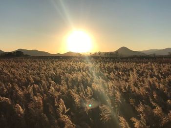 Scenic view of landscape against sky during sunset