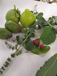 High angle view of fruits on plant