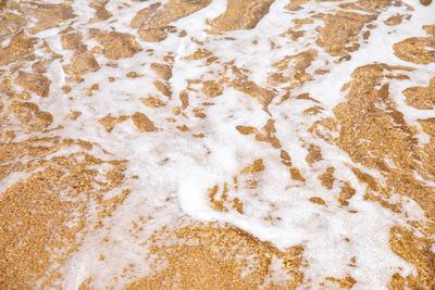 High angle view of bubbles on beach