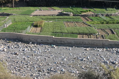 Scenic view of field