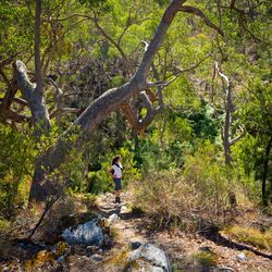 Young woman hiking in the australian bush