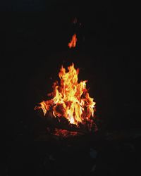 Close-up of bonfire on field at night