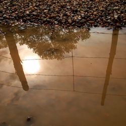 Reflection of trees in water at sunset