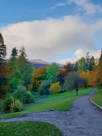 Road amidst trees against sky during autumn