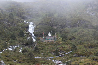 High angle view of trees on mountain