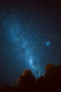 Low angle view of silhouette trees against sky at night