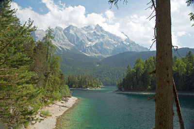 Scenic view of river amidst trees against sky