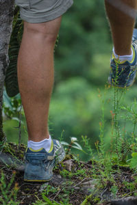 Low section of man walking in forest