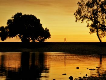 Silhouette of trees at sunset