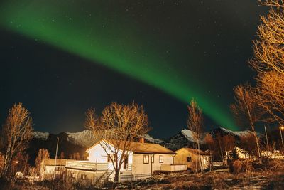 Illuminated trees and buildings against sky at night