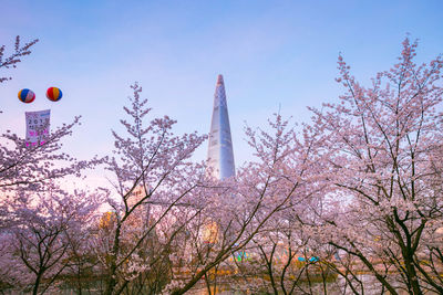 Low angle view of flowering plants against sky