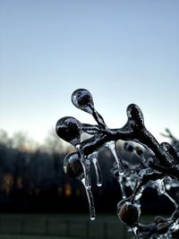 Close-up of frozen water against sky