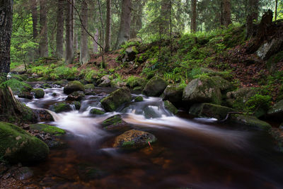 Stream flowing through rocks in forest