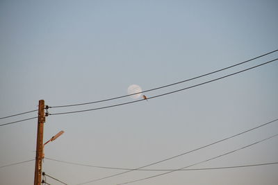 Low angle view of birds perching on cable against sky