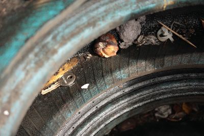 High angle view of insect on metal