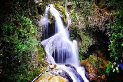 Scenic view of waterfall in forest