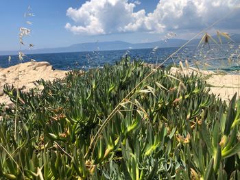 Scenic view of sea against sky