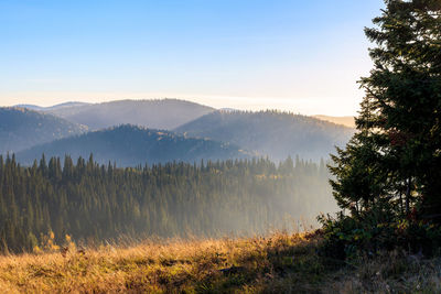 Scenic view of landscape and mountains against sky