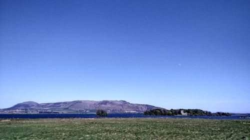 Scenic view of field against clear blue sky