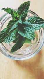 High angle view of drink in jar on table