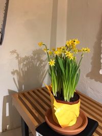 Close-up of yellow flowers in vase on table