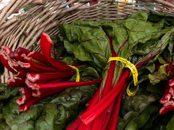 Close-up of leaves in basket