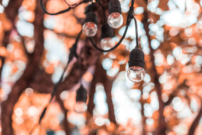 Low angle view of light bulbs hanging outdoors