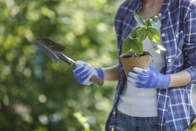 Female gardner holding hand trowel and strawberry plant