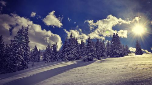 Scenic view of landscape against sky