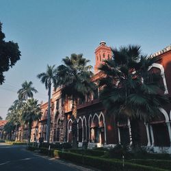 Low angle view of coconut palm trees against clear sky