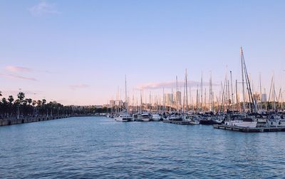 Sailboats in sea at sunset