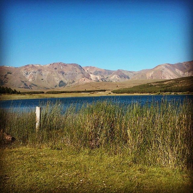 mountain, clear sky, tranquil scene, tranquility, scenics, blue, water, copy space, mountain range, beauty in nature, lake, landscape, grass, nature, countryside, idyllic, plant, non-urban scene, reflection, field