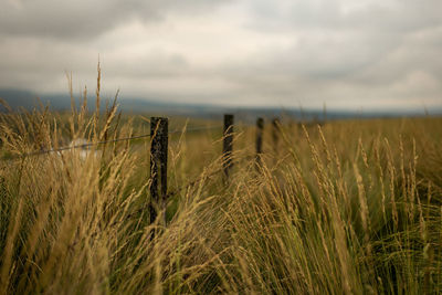 Scenic view of field against cloudy sky