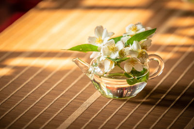 Close-up of potted plant on table