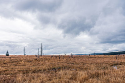 Landscape in the high fens nature park in the eifel, belgium.