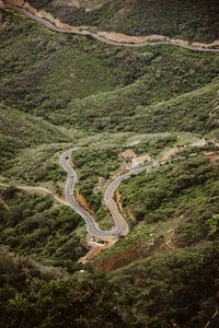 High angle view of road amidst trees