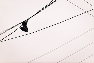 Low angle view of bird perching on cable against sky