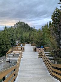 Footbridge amidst trees in forest against sky